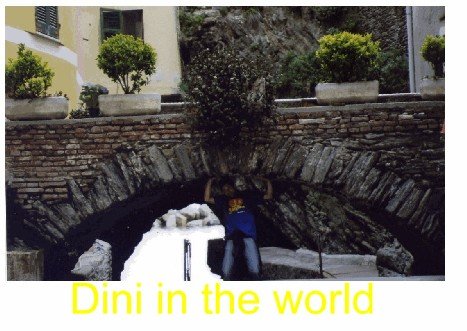 dini_in_the_world_(75)